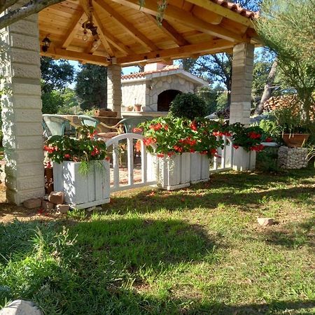 קמפור Apartments Makaus מראה חיצוני תמונה