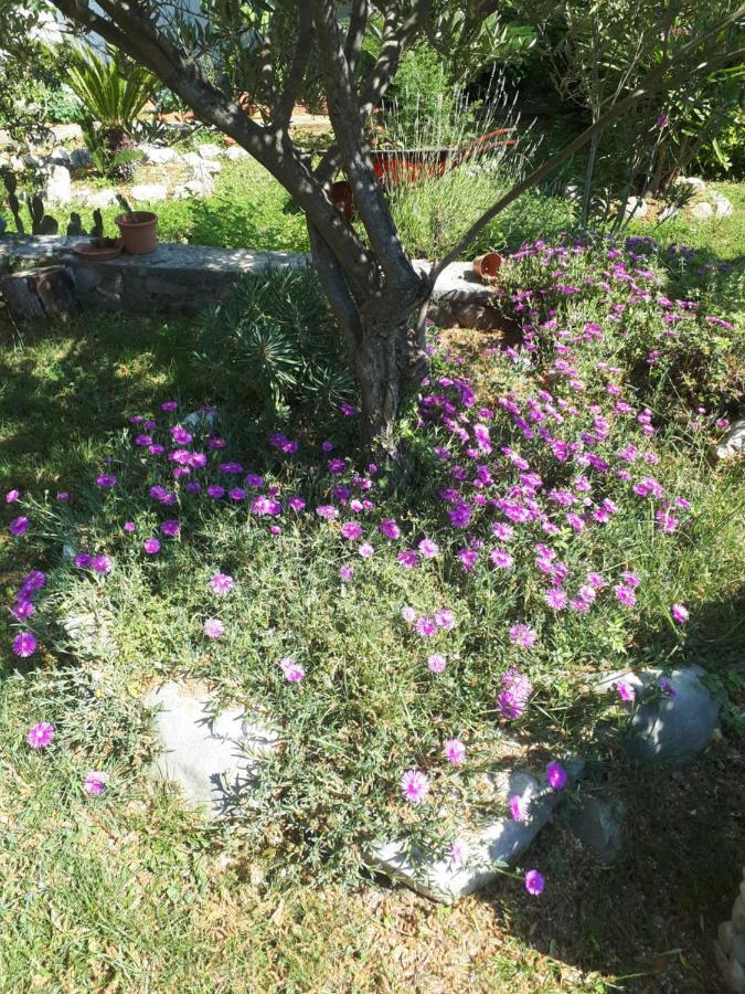 קמפור Apartments Makaus מראה חיצוני תמונה