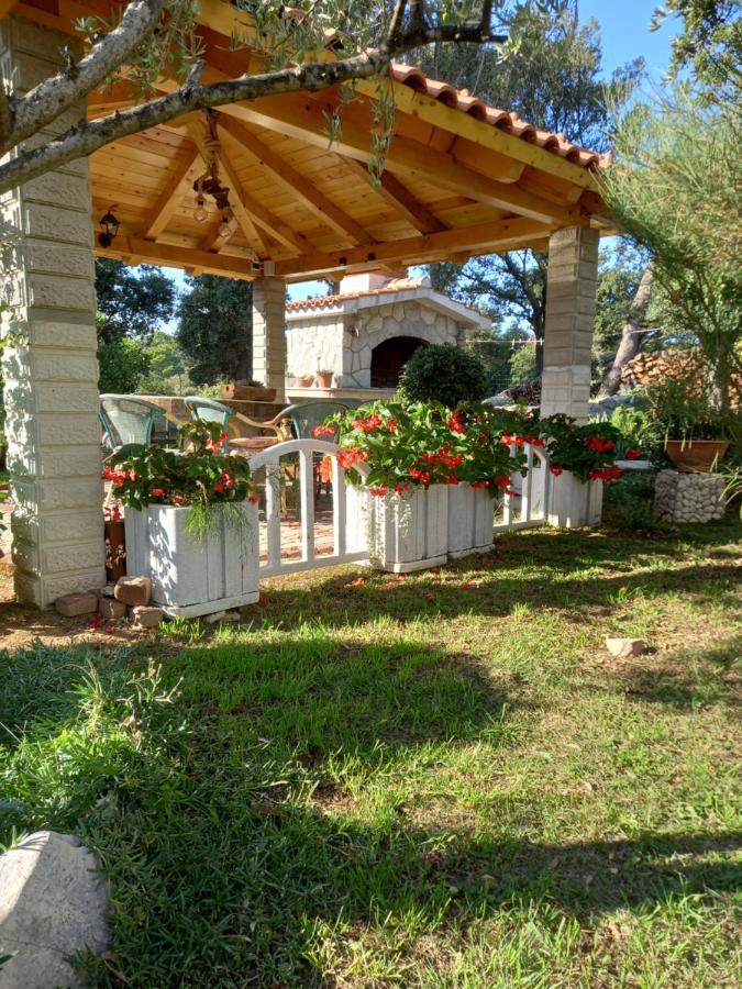קמפור Apartments Makaus מראה חיצוני תמונה