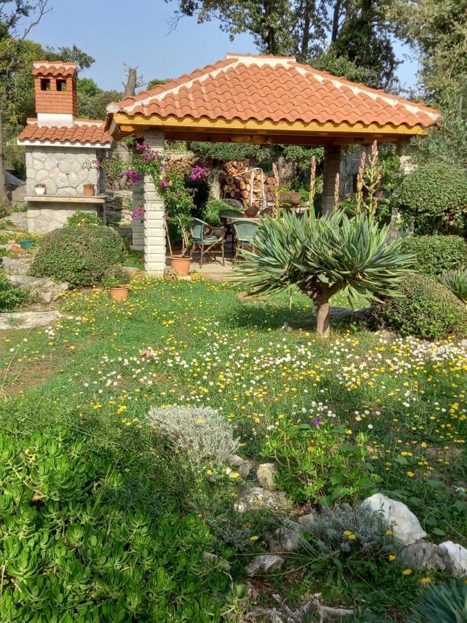 קמפור Apartments Makaus מראה חיצוני תמונה