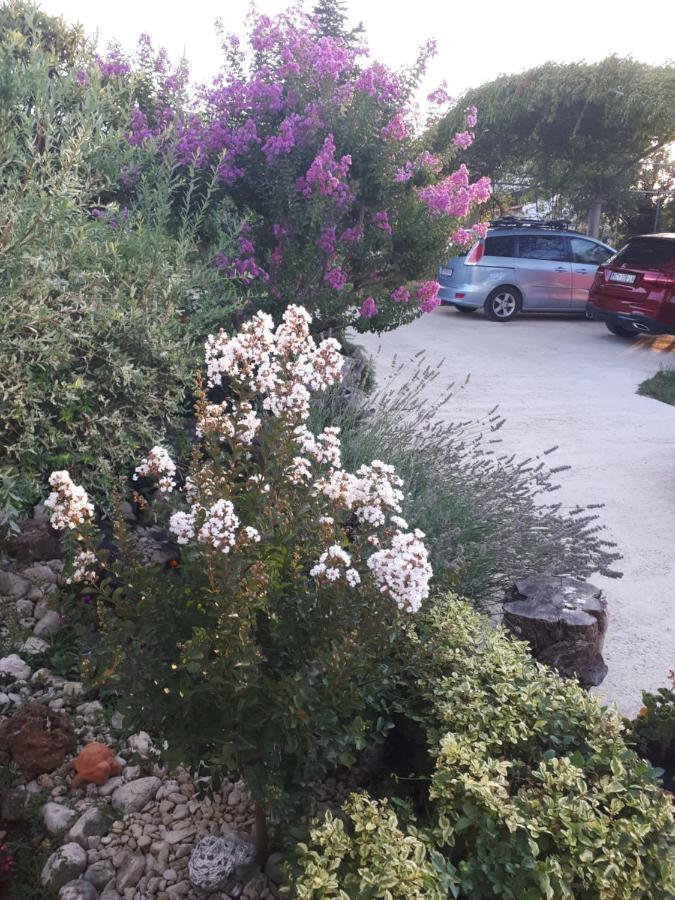 קמפור Apartments Makaus מראה חיצוני תמונה