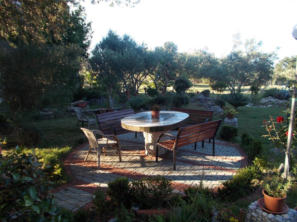קמפור Apartments Makaus מראה חיצוני תמונה